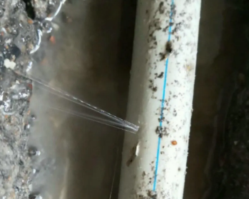 江州卫生间测漏水多少钱