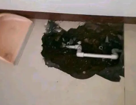 江州卫生间测漏水多少钱